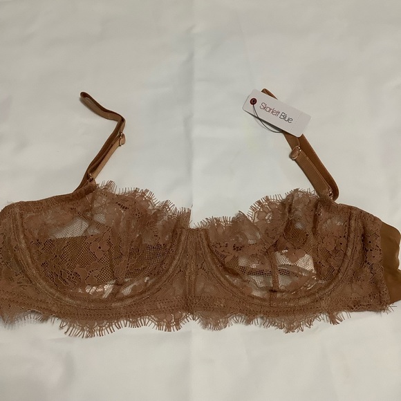 Skarlett Blue Entice Lace Balconette Bra Size 34B NWT (W208) - Picture 8 of 11